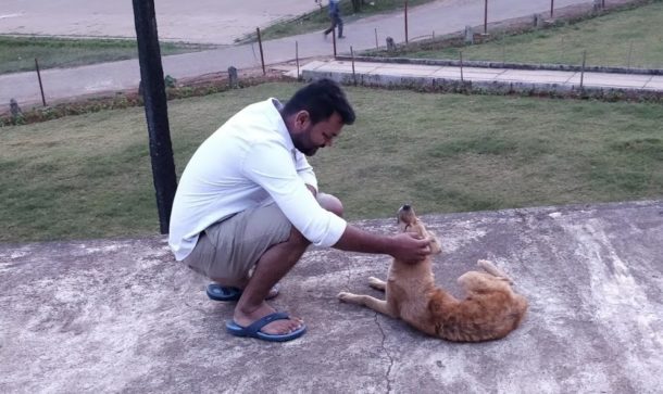 This Bengaluru Based Pet Care Startup Aims to Upgrade and Consolidate the Service Standard of the Local Un-organized Market